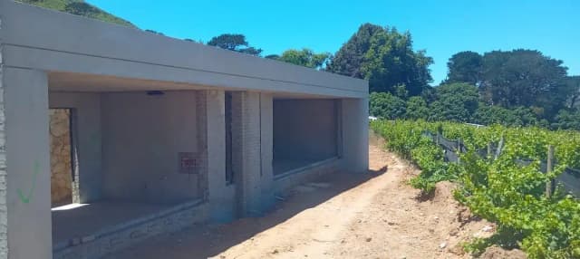 Front of men's Basic Tee in black.